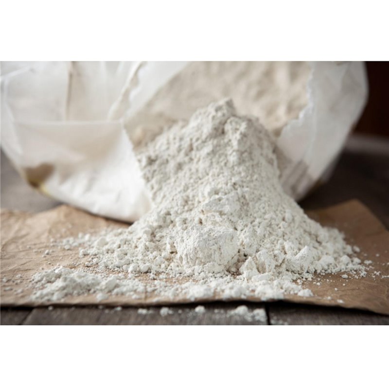Tierra de Diatomea orgánico insecticida 1 Kilo agropuli